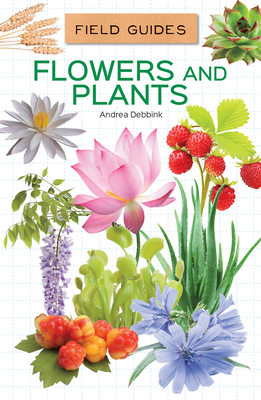 Flowers and Plants (Field Guides) By Andrea Debbink Cover Image