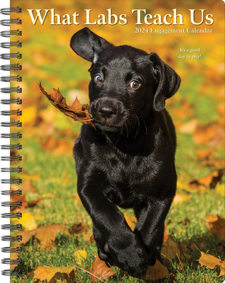 What Labs Teach Us 2024 6.5 X 8.5 Engagement Calendar By Willow Creek Press Cover Image