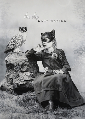The Slip By Kary Wayson Cover Image
