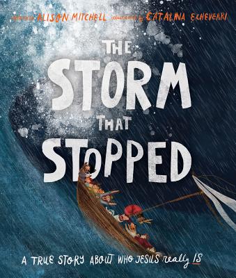 The Storm That Stopped Storybook: A True Story about Who Jesus Really Is By Alison Mitchell, Catalina Echeverri (Illustrator) Cover Image