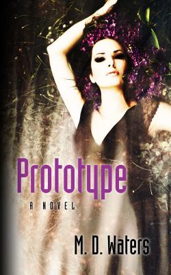 Cover for Prototype