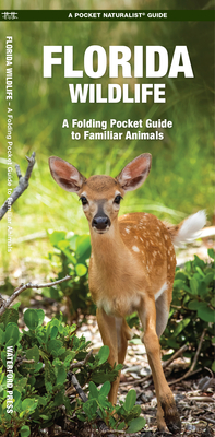 Florida Wildlife: An Introduction to Familiar Species (Pocket Naturalist Guide) Cover Image