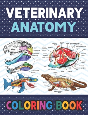 Veterinary Anatomy Coloring Book: Learn The Veterinary Anatomy With Fun &  Easy. The New Surprising Magnificent Learning Structure For Veterinary  Anato (Paperback) | Books and Crannies
