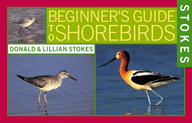 Stokes Beginner's Guide to Shorebirds By Lillian Q. Stokes, Donald Stokes Cover Image