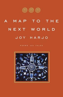 Cover for A Map to the Next World