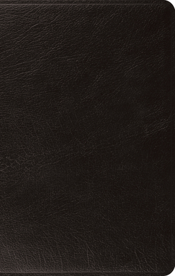 ESV Large Print Thinline Bible (Black) Cover Image