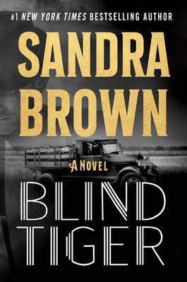 Blind Tiger By Sandra Brown Cover Image