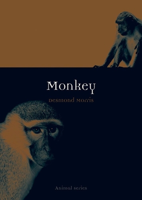 Monkey (Animal)