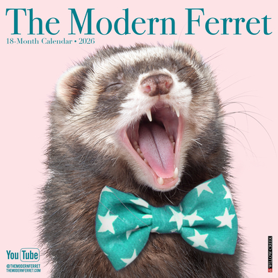 Modern Ferret (The) 2026 Wall Calendar By Modern Ferret (Photographer) Cover Image