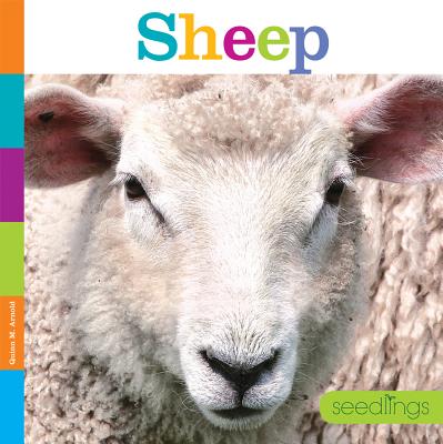 Seedlings: Sheep By Quinn M. Arnold Cover Image