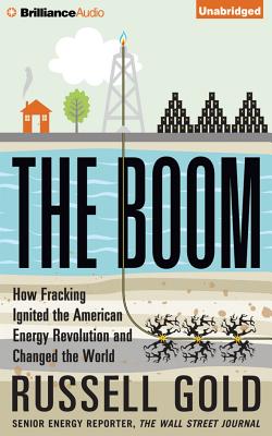 The Boom: How Fracking Ignited the American Energy Revolution and Changed the World Cover Image