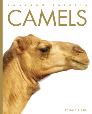 Camels (Amazing Animals) Cover Image