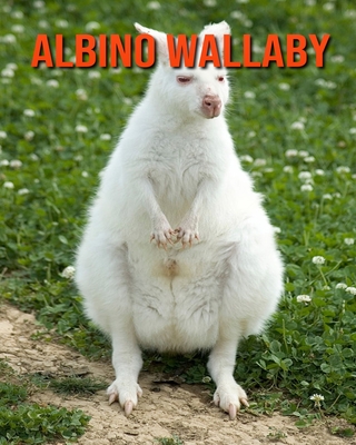 Albino Wallaby: Amazing Facts & Pictures Cover Image