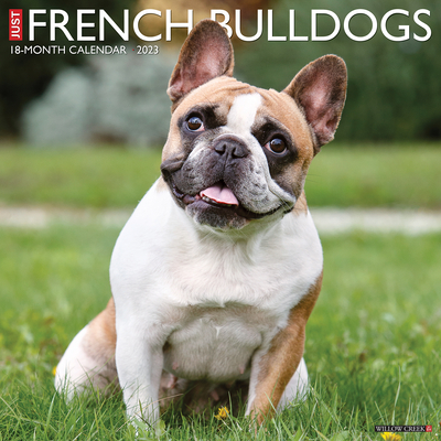 Just French Bulldogs 2023 Wall Calendar By Willow Creek Press Cover Image