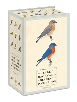 Sibley Backyard Birding Postcards: 100 Postcards (Sibley Birds) By David Sibley, David Allen Sibley Cover Image