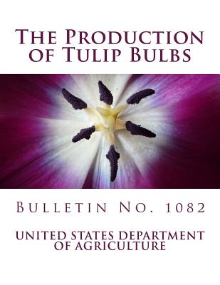 The Production of Tulip Bulbs: Bulletin No. 1082 Cover Image
