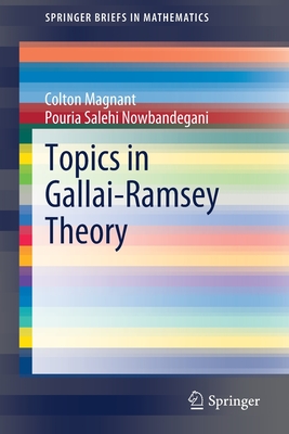 Topics in Gallai-Ramsey Theory (Springerbriefs in Mathematics)