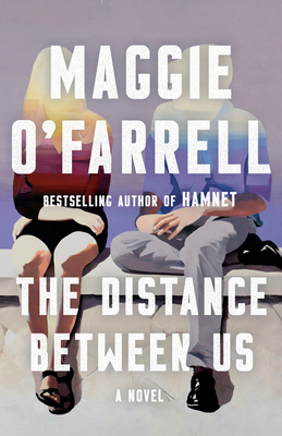 The Distance Between Us: A Novel By Maggie O'Farrell Cover Image