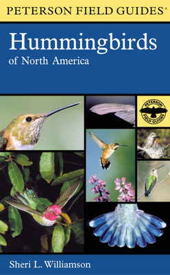 A Peterson Field Guide To Hummingbirds Of North America (Peterson Field Guides) Cover Image