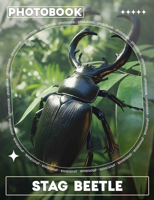Stag Beetle Photo Book: Explore 40 Stunning Images Of This Majestic Insect, Perfect For Entomology Enthusiasts And Nature Lovers By Lukas Murray Cover Image