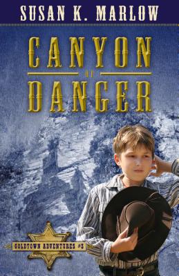 Canyon of Danger (Goldtown Adventures #3) Cover Image