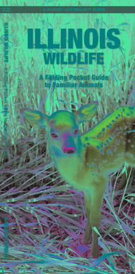 Illinois Wildlife: A Folding Pocket Guide to Familiar Animals (Pocket Naturalist Guide) By James Kavanagh, Waterford Press, Raymond Leung (Illustrator) Cover Image