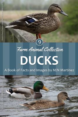 Ducks By M/N Martinez Cover Image