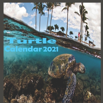 Turtle calendar 2021 By Life Cover Image