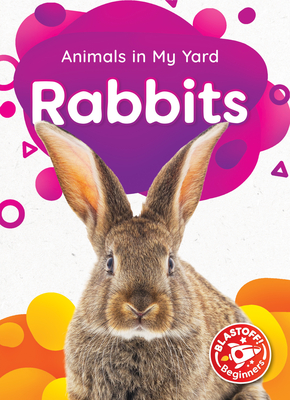 Rabbits By Amy McDonald Cover Image