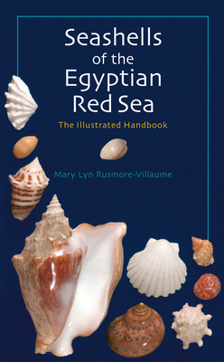 Seashells of the Egyptian Red Sea: The Illustrated Handbook By Mary Lyn Rusmore-Villaume Cover Image