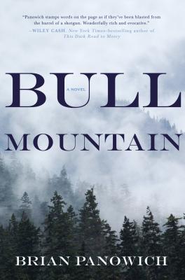 Cover Image for Bull Mountain: A Novel