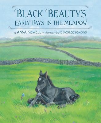 Black Beauty's Early Days in the Meadow (Classic Picture Books) Cover Image
