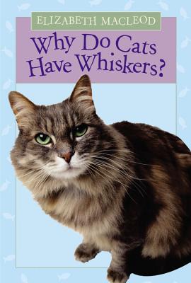 Why Do Cats Have Whiskers? Cover