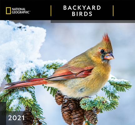 Cal 2021- National Geographic Backyard Birds Wall