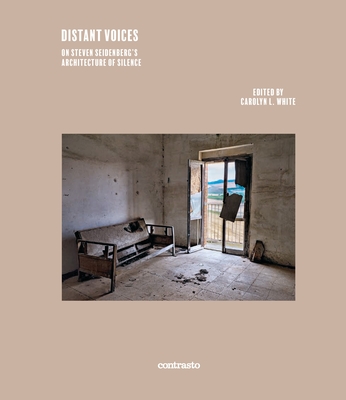 Distant Voices: On Steven Seidenberg's the Architecture of Silence Cover Image