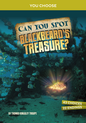 Can You Spot Blackbeard's Treasure?: An Interactive Treasure Adventure (You Choose: Treasure Hunters)