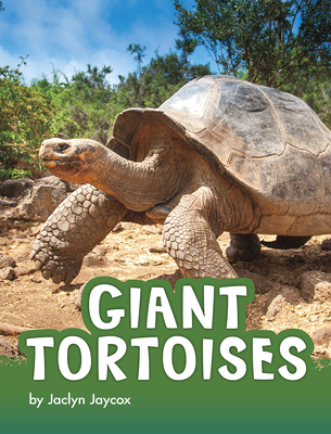 Giant Tortoises (Animals) By Jaclyn Jaycox Cover Image