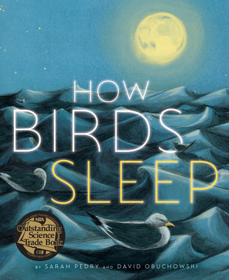 How Birds Sleep By David Obuchowski, Sarah Pedry (Illustrator) Cover Image