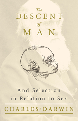 The Descent of Man - And Selection in Relation to Sex By Charles Darwin Cover Image