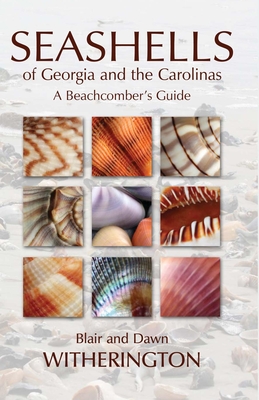 Seashells of Georgia and the Carolinas: A Beachcomber's Guide