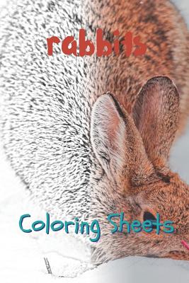 Rabbit Coloring Sheets: 30 Rabbit Drawings, Coloring Sheets Adults Relaxation, Coloring Book for Kids, for Girls, Volume 12 By Julian Smith Cover Image