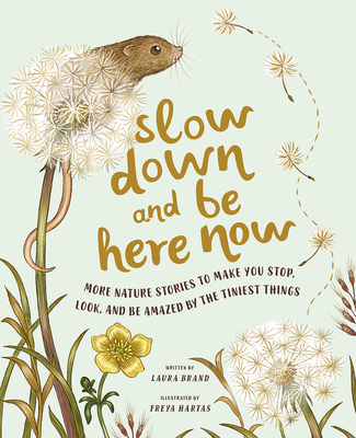 Slow Down and Be Here Now: More Nature Stories to Make You Stop, Look, and Be Amazed by the Tiniest Things By Laura Brand, Freya Hartas (Illustrator) Cover Image