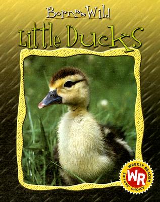 Little Ducks (Born to Be Wild) Cover Image