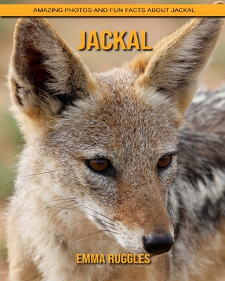 Jackal: Amazing Photos and Fun Facts about Jackal (Paperback) | Hooked