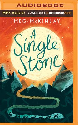 A Single Stone Cover Image