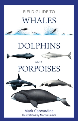Field Guide to Whales, Dolphins and Porpoises (Bloomsbury Naturalist) By Mark Carwardine Cover Image
