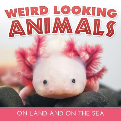 Weird Looking Animals On Land and On The Sea By Baby Professor Cover Image