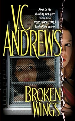 Broken Wings Cover