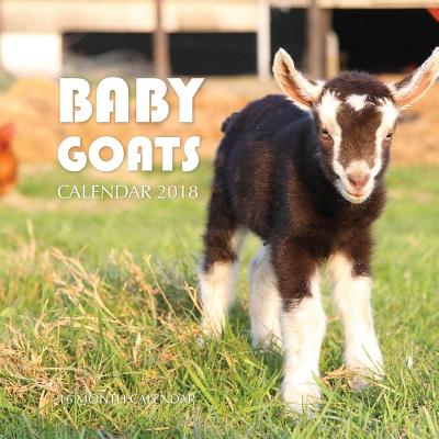Baby Goats Calendar 2018: 16 Month Calendar