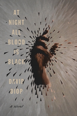 At Night All Blood Is Black: A Novel Cover Image